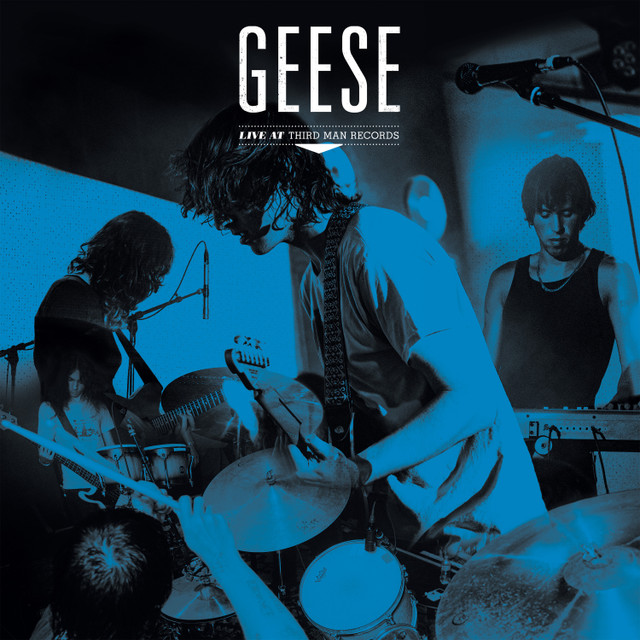 geeselive__49616